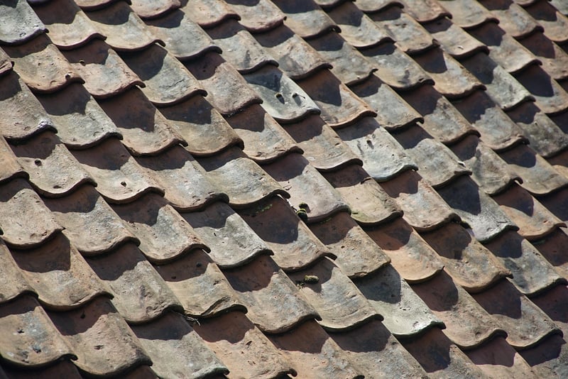 Urban Green Roof