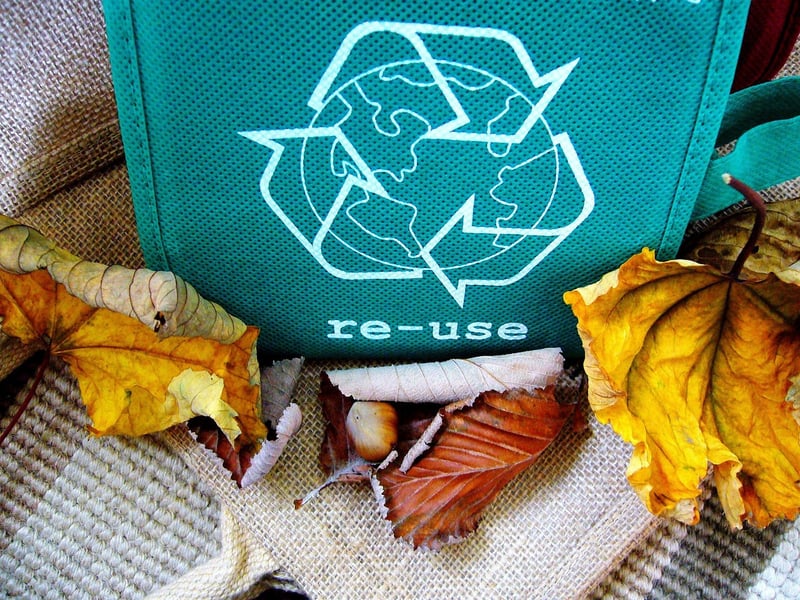 Tin Cans Planters